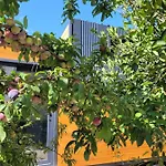 Tiny Garden *