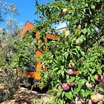 Villa Tiny Garden *