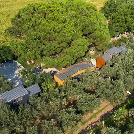 Tiny Garden Vila Dikili