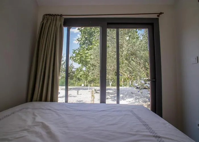 فيلة Tiny Garden *