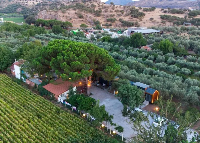 فيلة Tiny Garden *